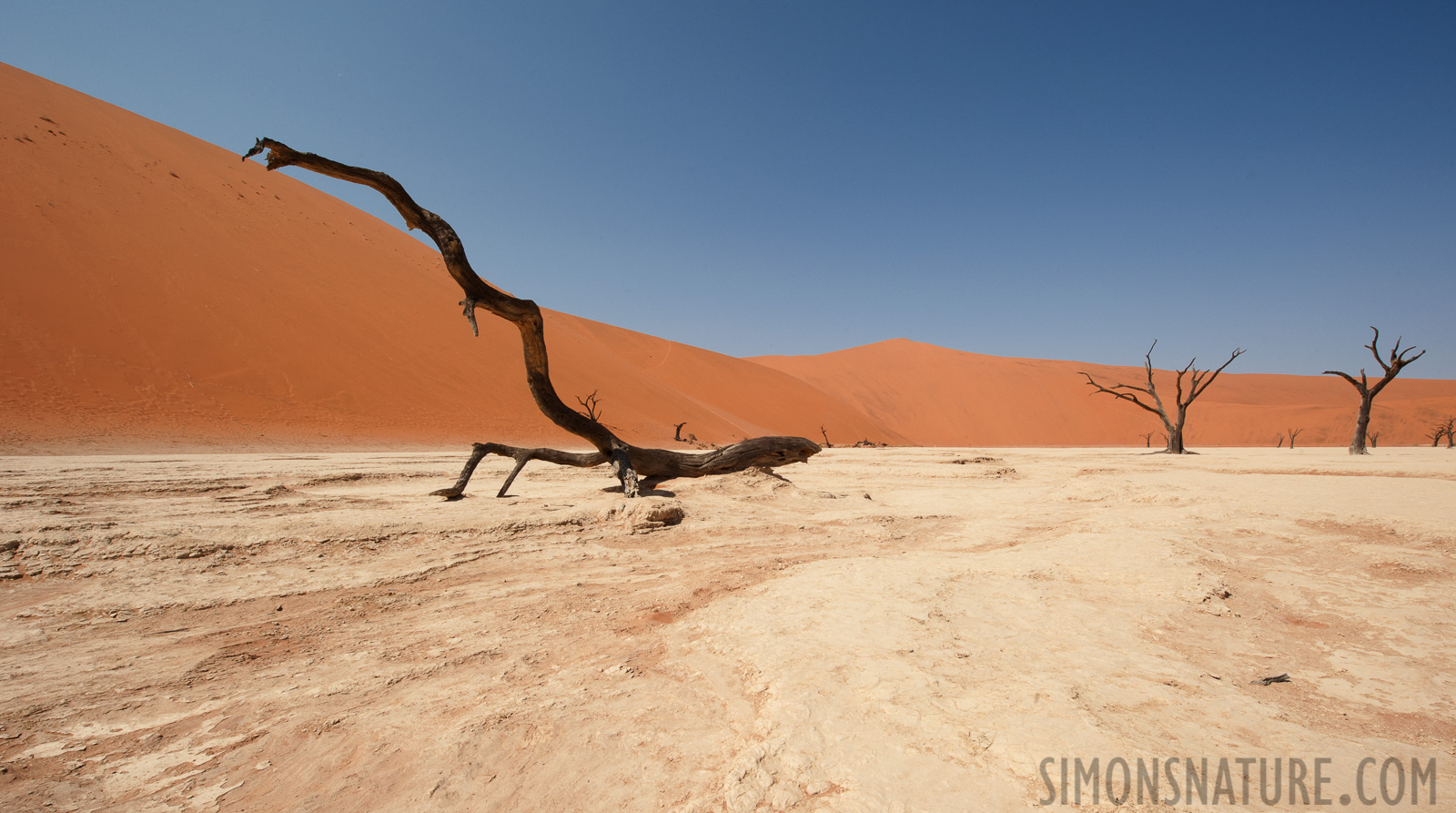 Namib-Naukluft National Park [14 mm, 1/200 sec at f / 22, ISO 400]